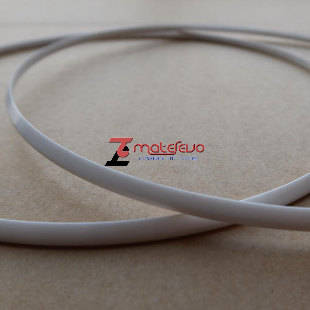 ZrO2 Ceramic Ring 215*210*5.2MM,SS